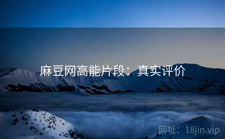 麻豆网高能片段：真实评价