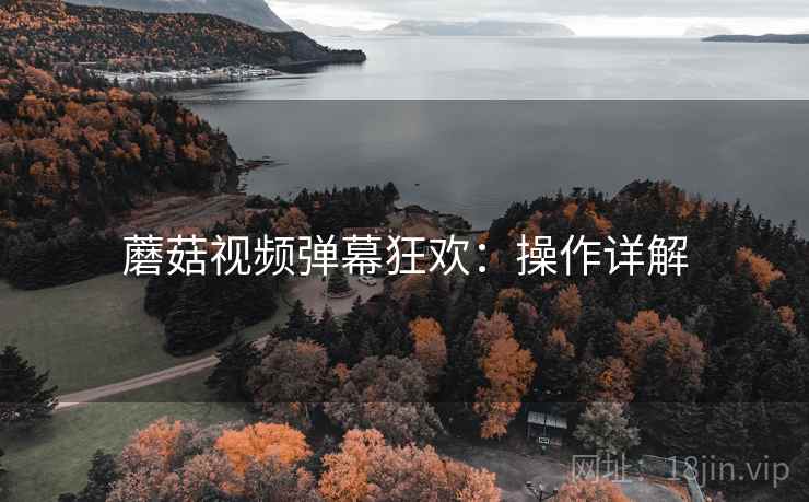 蘑菇视频弹幕狂欢：操作详解
