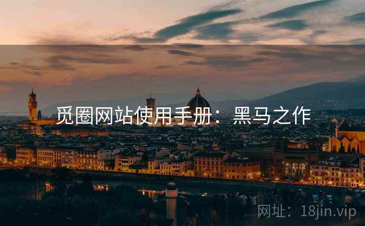 觅圈网站使用手册：黑马之作
