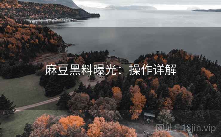 麻豆黑料曝光：操作详解