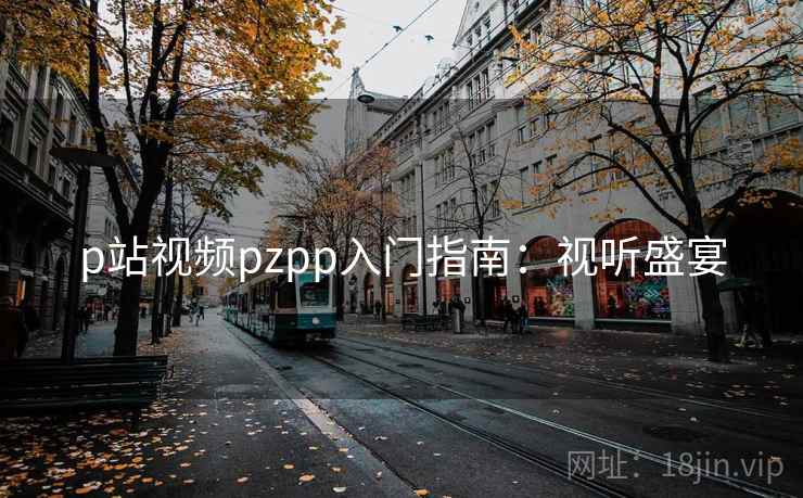 p站视频pzpp入门指南：视听盛宴